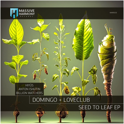 Loveclub & Domingo + - Seed to Leaf [MHR553]